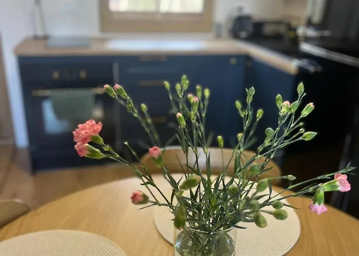 Semesterbostad Activfarm Na Kaszubach /domek Madzia